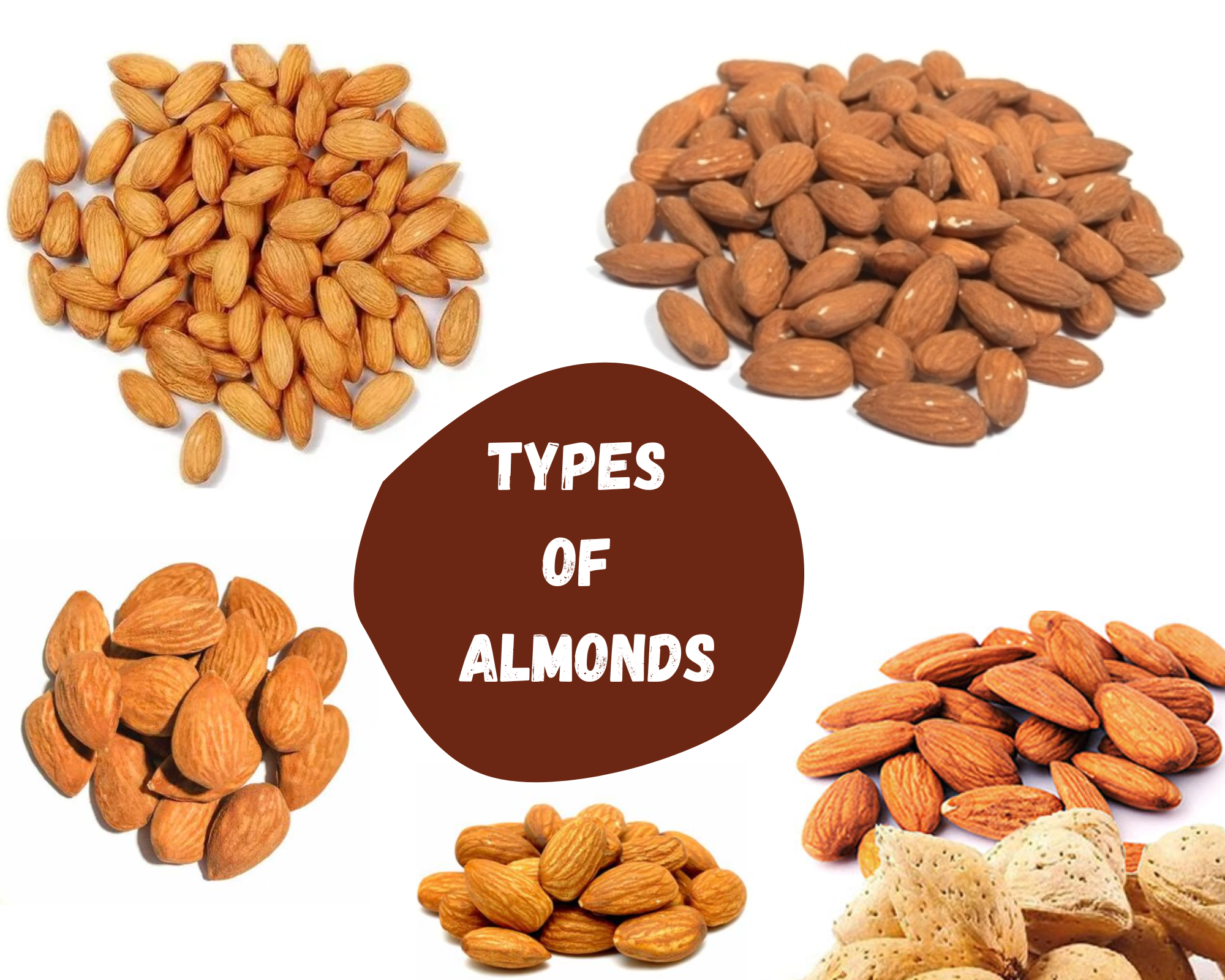 Types of Almonds