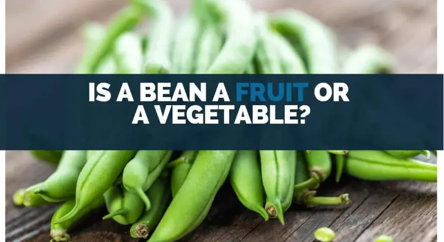 Are Beans Fruits Or Vegetables